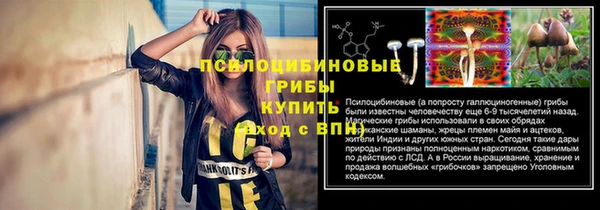 крисы Алексеевка