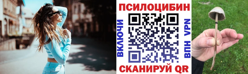 цены   Апрелевка  Псилоцибиновые грибы мухоморы 
